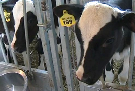 Молочный завод  отгружен с опережением на 30 дней